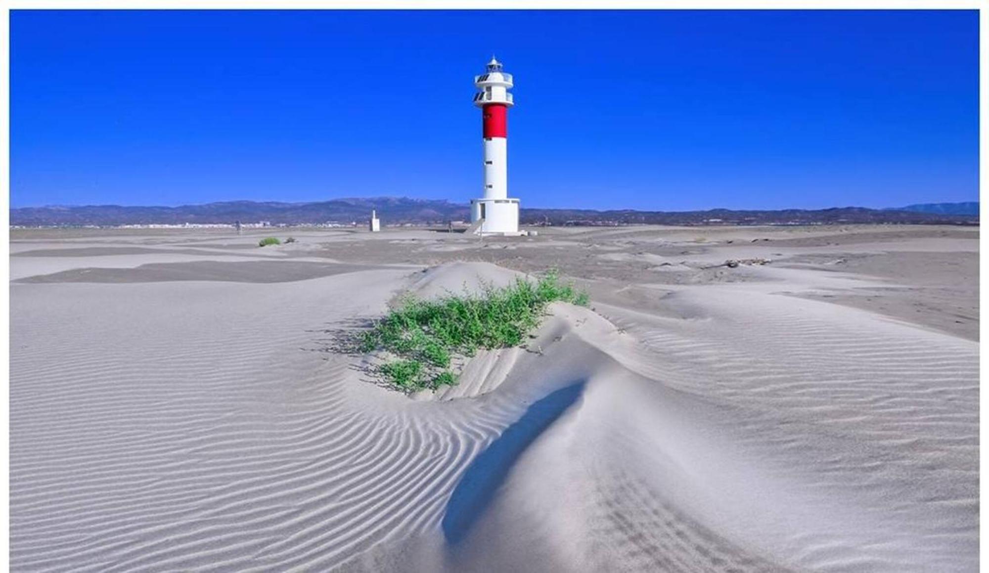 Barraca Tipica Del Delta, Con Piscina, Jardin Y Barbacoa - Deltavacaciones Villa Sant Jaume d'Enveja Dış mekan fotoğraf